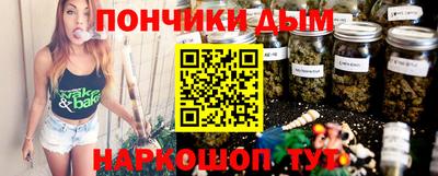 apvp Бердск